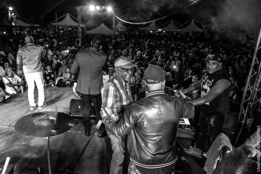 Pupy y los que son son<br/>©Nathadread Pictures / Nathanaël Mergui.