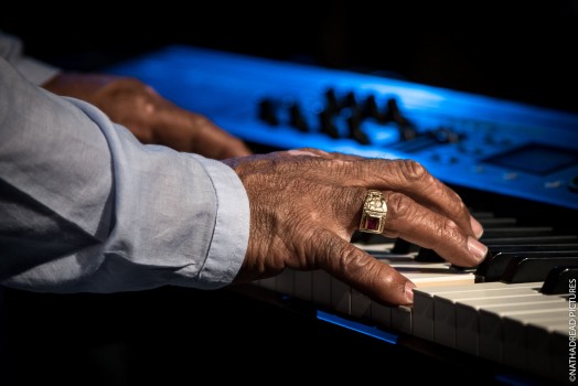 Pupy y los que son son<br/>©Nathadread Pictures / Nathanaël Mergui.