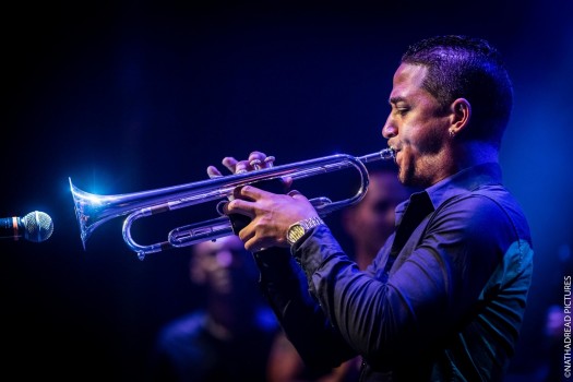 Pupy y los que son son<br/>©Nathadread Pictures / Nathanaël Mergui.