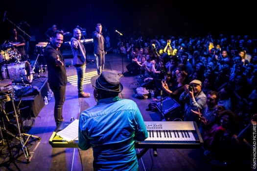 Pupy y los que son son<br/>©Nathadread Pictures / Nathanaël Mergui.