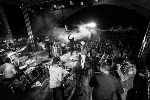 Pupy y los que son son<br/>©Nathadread Pictures / Nathanaël Mergui.