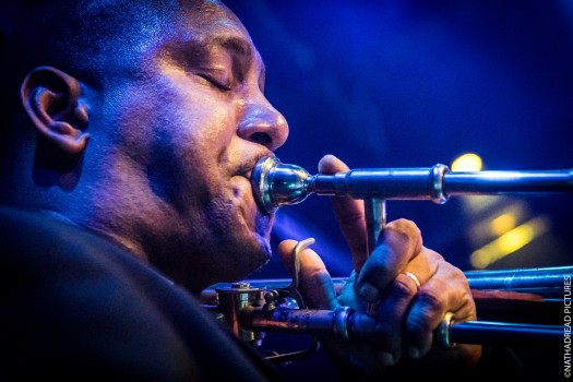 Pupy y los que son son<br/>©Nathadread Pictures / Nathanaël Mergui.