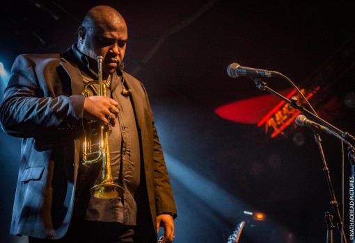 Alexander Abreu y Havana D'Primera<br/>©Nathadread Pictures / Nathanaël Mergui.