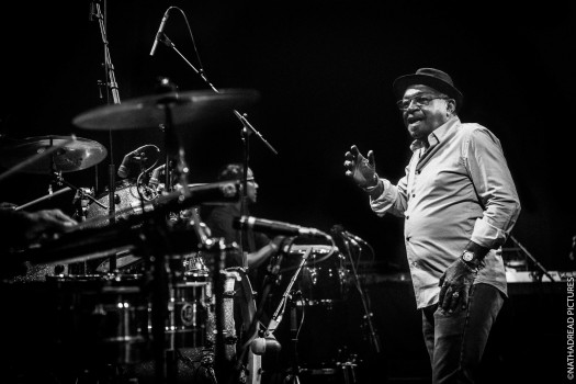 Pupy y los que son son<br/>©Nathadread Pictures / Nathanaël Mergui.