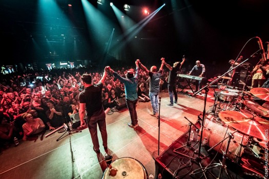 Pupy y los que son son<br/>©Nathadread Pictures / Nathanaël Mergui.